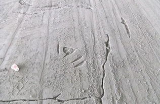 水泥地面防潮方法 雨天再也不怕潮濕，兼談建筑砌塊銷售的選擇