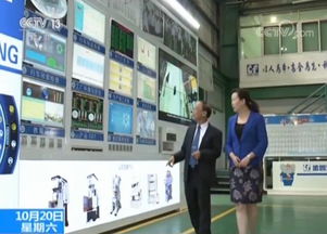 Ningbo Builds Nest to Attract Phoenixes: Creating a Stage for Taiwanese Business Development and Translation Services